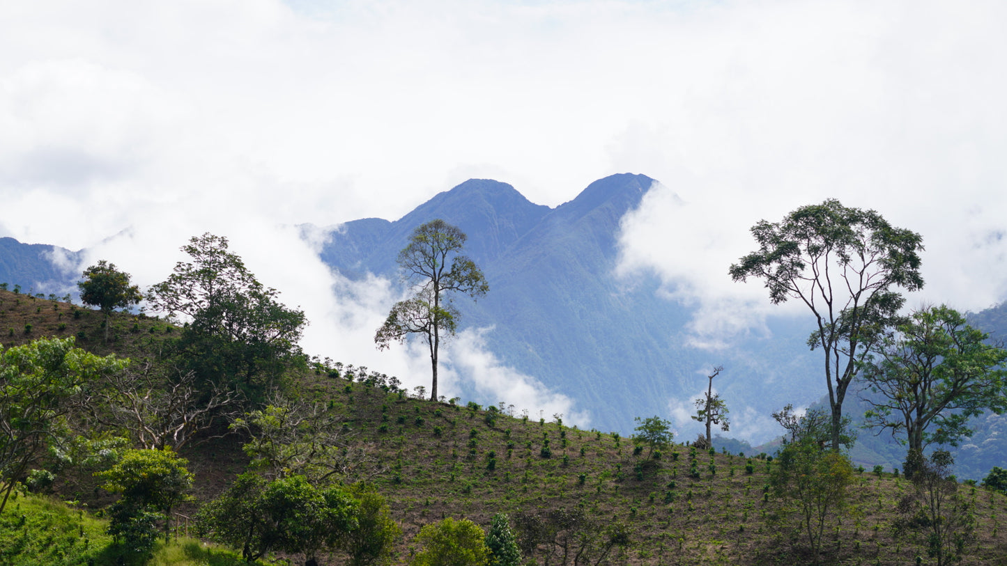Colombia - Antioquia